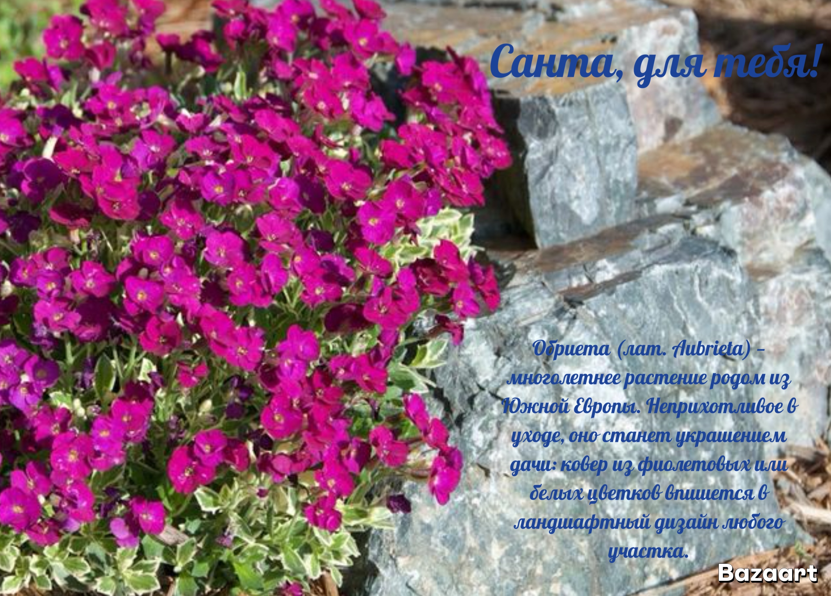https://upforme.ru/uploads/0019/3c/8c/1445/60392.jpg