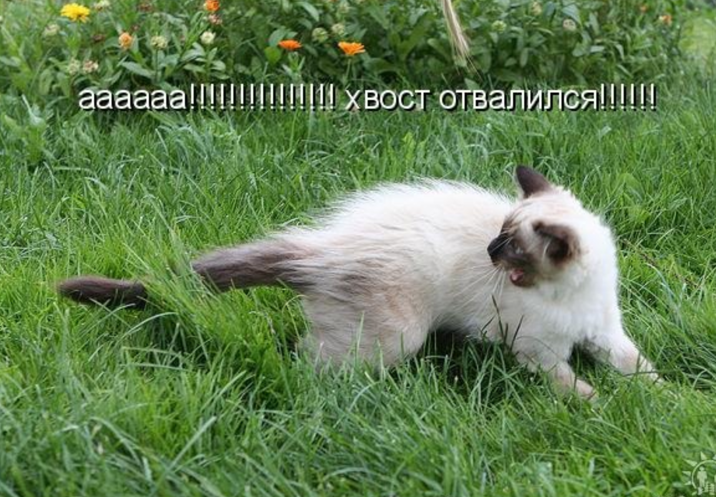 https://upforme.ru/uploads/0019/3c/8c/1445/611267.png