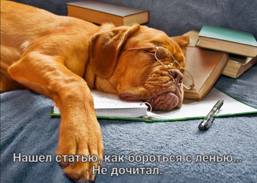 https://upforme.ru/uploads/0019/3c/8c/1445/634343.jpg