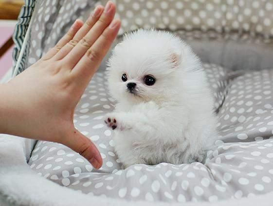 https://upforme.ru/uploads/0019/3c/8c/1445/655915.jpg