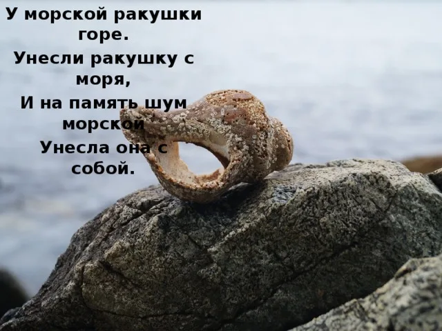 https://upforme.ru/uploads/0019/3c/8c/1445/658678.webp