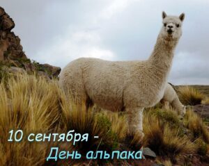 https://upforme.ru/uploads/0019/3c/8c/1445/689591.jpg