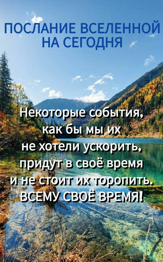 https://upforme.ru/uploads/0019/3c/8c/1445/707643.webp