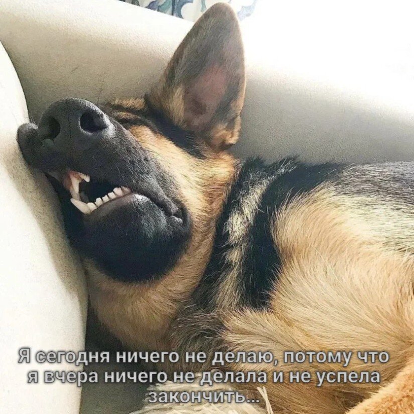 https://upforme.ru/uploads/0019/3c/8c/1445/769060.jpg