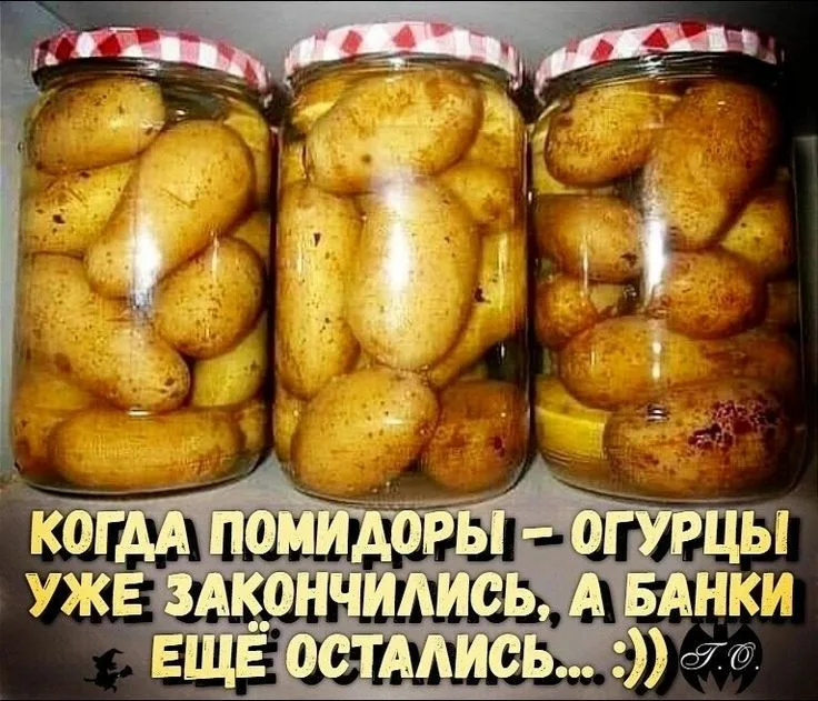 https://upforme.ru/uploads/0019/3c/8c/1445/787323.webp