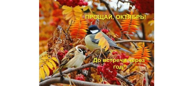 https://upforme.ru/uploads/0019/3c/8c/1445/818629.jpg