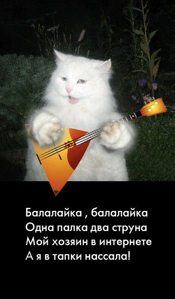 https://upforme.ru/uploads/0019/3c/8c/1445/830831.gif