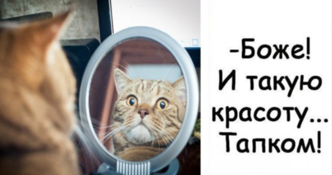 https://upforme.ru/uploads/0019/3c/8c/1445/841271.png