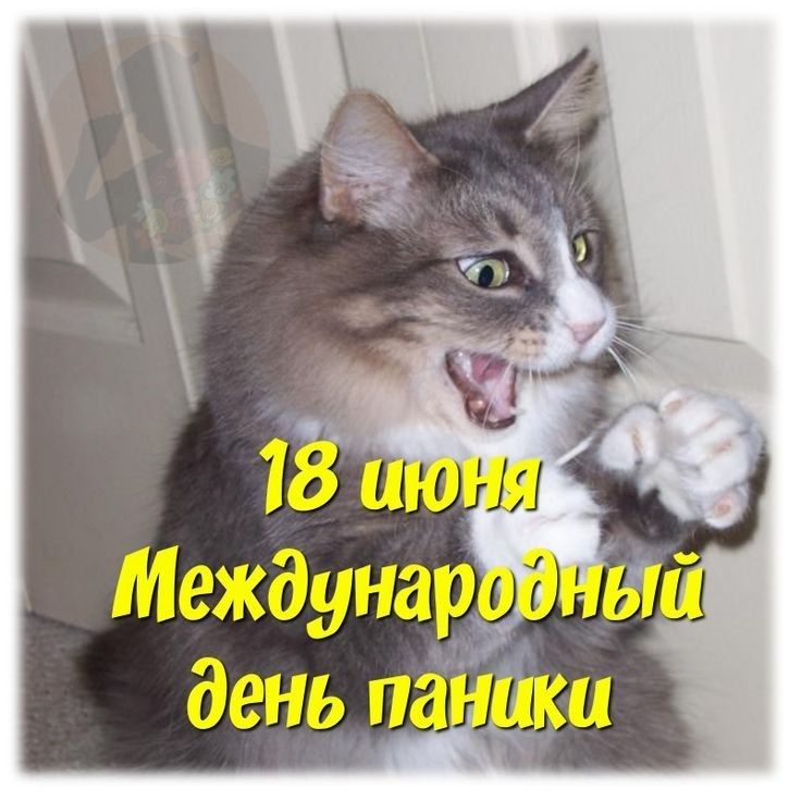 https://upforme.ru/uploads/0019/3c/8c/1445/851438.jpg