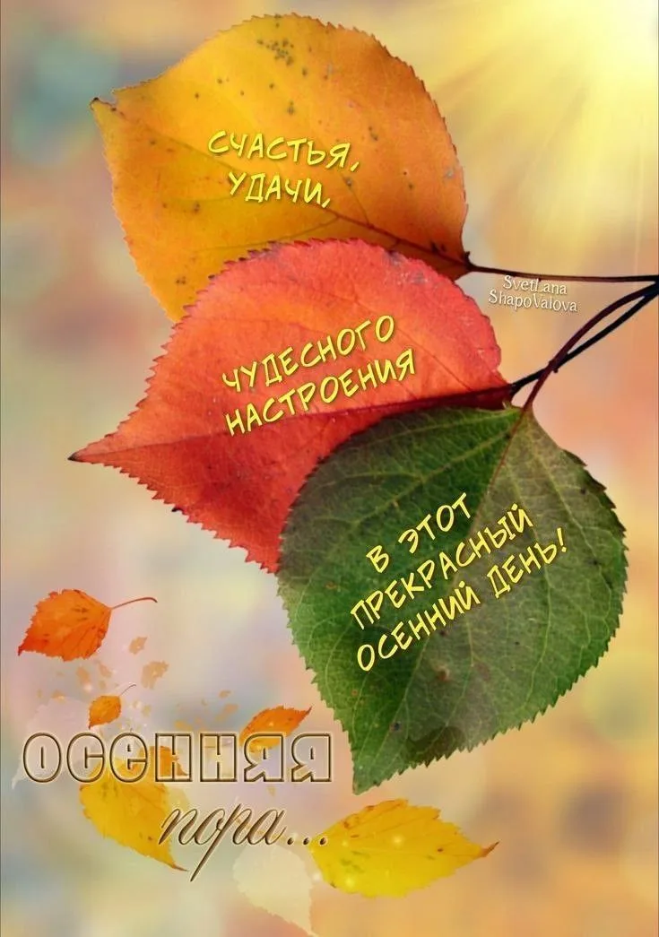 https://upforme.ru/uploads/0019/3c/8c/1445/862367.webp