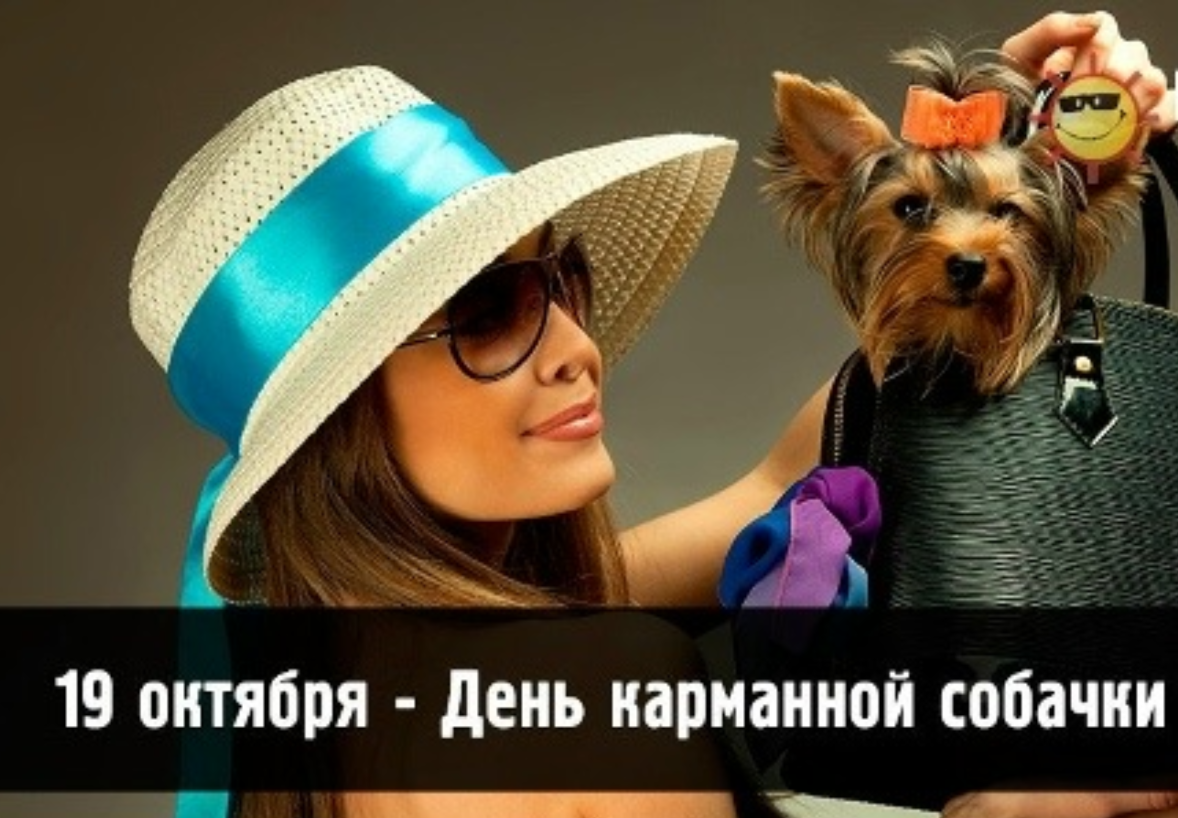 https://upforme.ru/uploads/0019/3c/8c/1445/866380.png