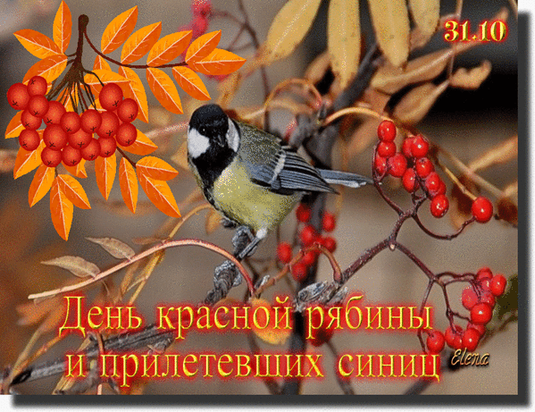 https://upforme.ru/uploads/0019/3c/8c/1445/872983.gif