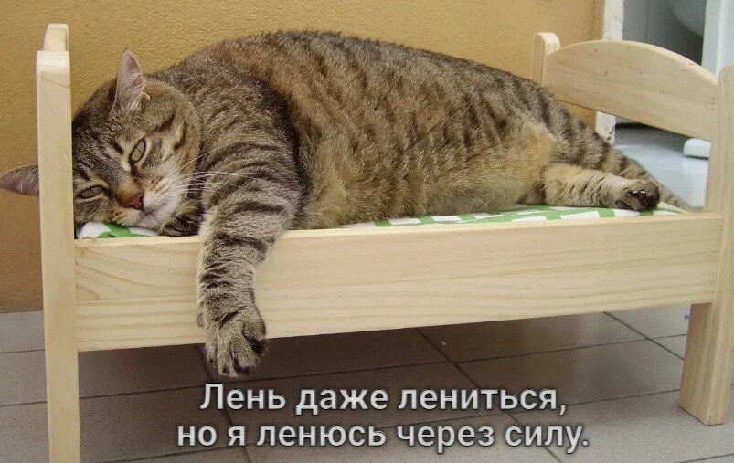 https://upforme.ru/uploads/0019/3c/8c/1445/90840.jpg