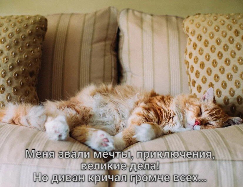 https://upforme.ru/uploads/0019/3c/8c/1445/930166.jpg
