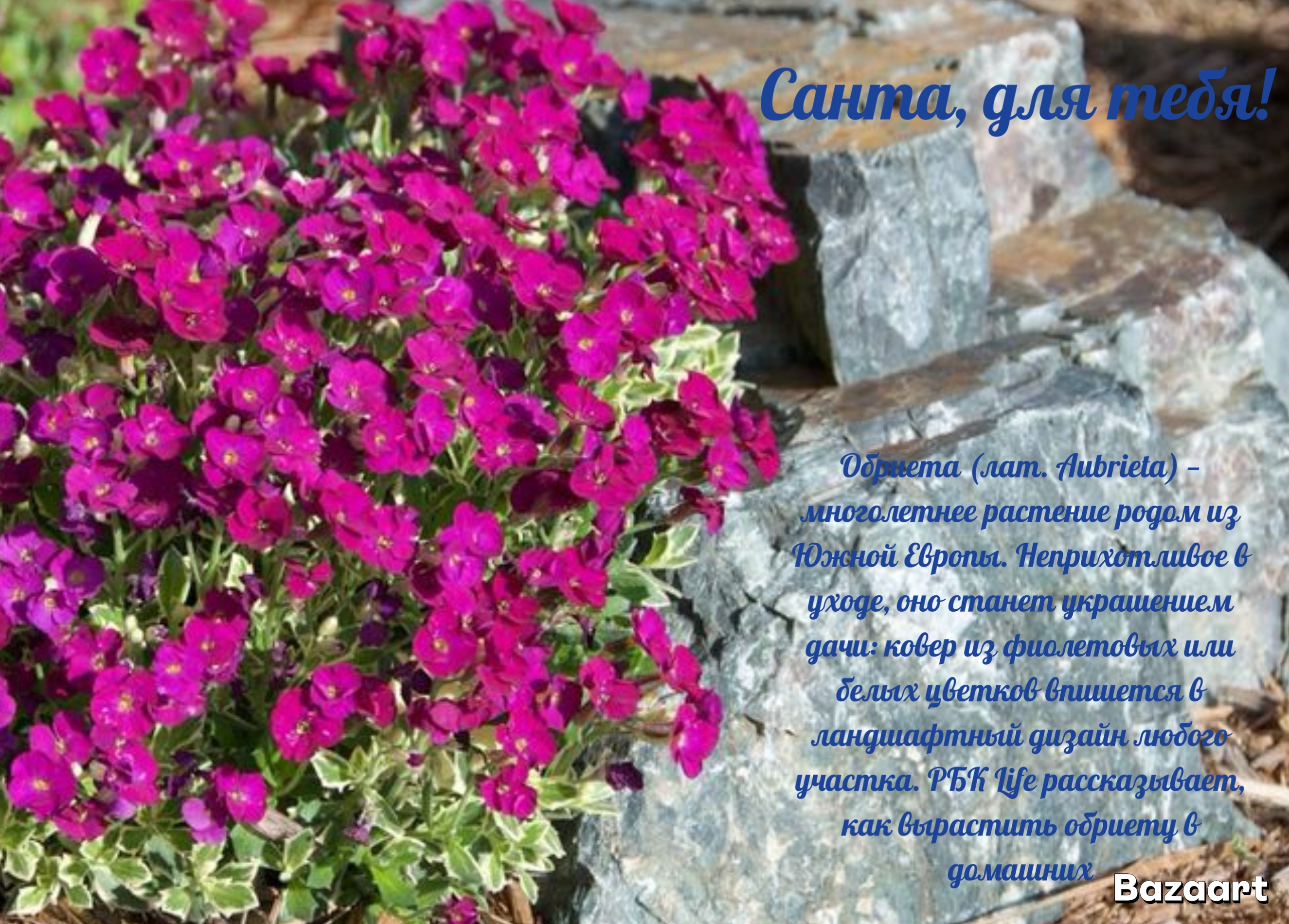 https://upforme.ru/uploads/0019/3c/8c/1445/942013.jpg