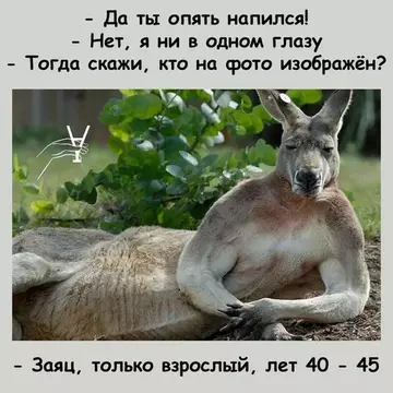https://upforme.ru/uploads/0019/3c/8c/1445/t524865.webp