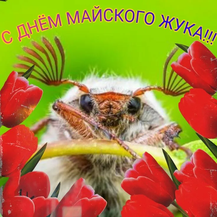 https://upforme.ru/uploads/0019/3c/8c/198/92400.webp