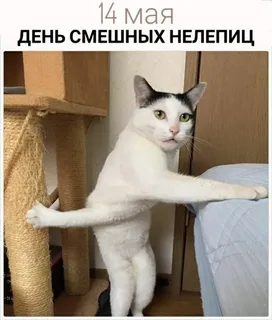 https://upforme.ru/uploads/0019/3c/8c/198/t88401.webp