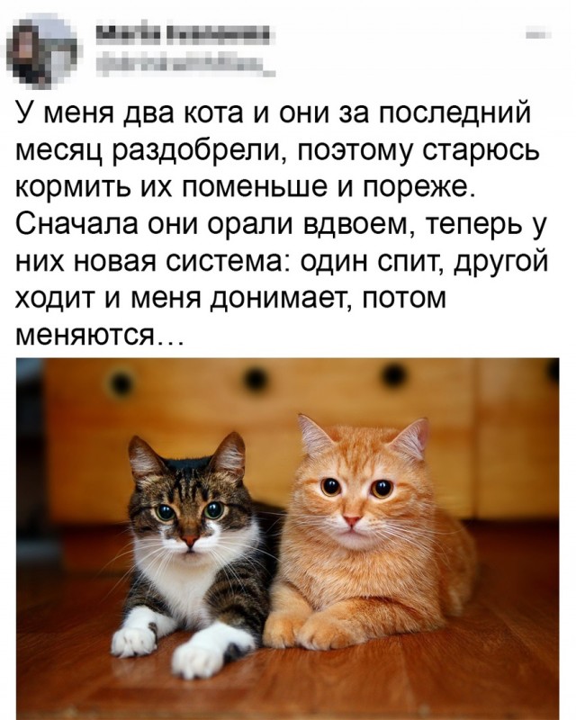 https://upforme.ru/uploads/0019/3c/8c/2/285568.jpg
