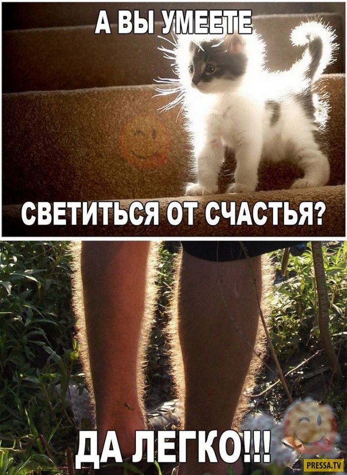 https://upforme.ru/uploads/0019/3c/8c/2/327430.jpg