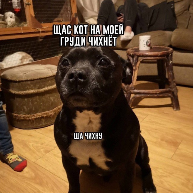 https://upforme.ru/uploads/0019/3c/8c/2/427571.jpg