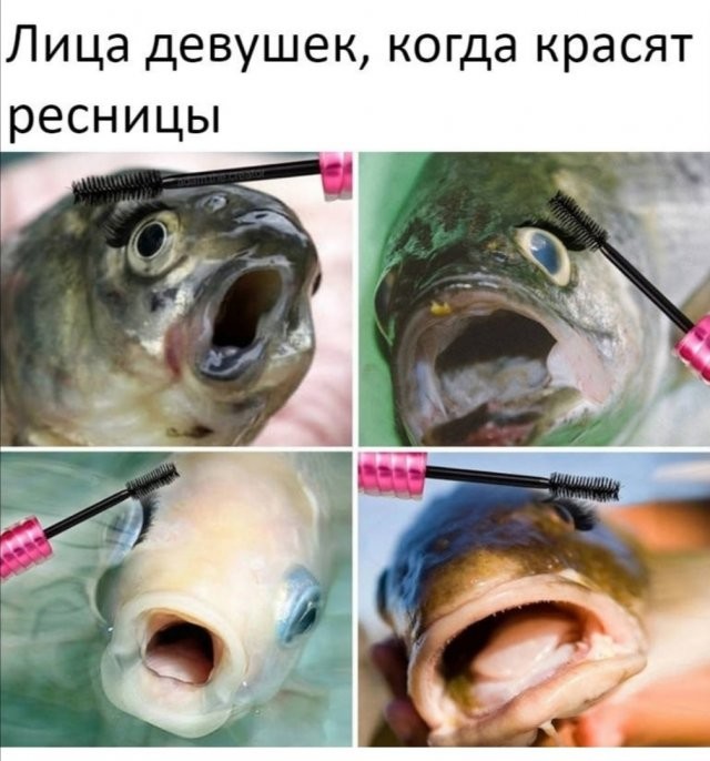 https://upforme.ru/uploads/0019/3c/8c/2/48183.jpg