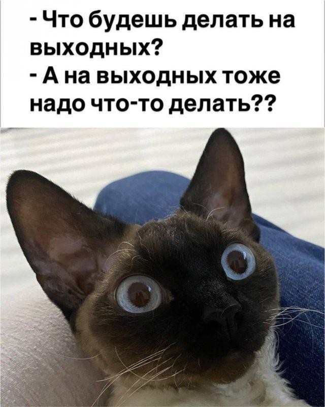 https://upforme.ru/uploads/0019/3c/8c/2/523014.jpg