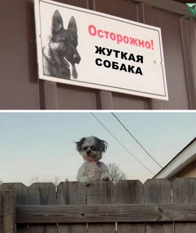https://upforme.ru/uploads/0019/3c/8c/2/53204.jpg
