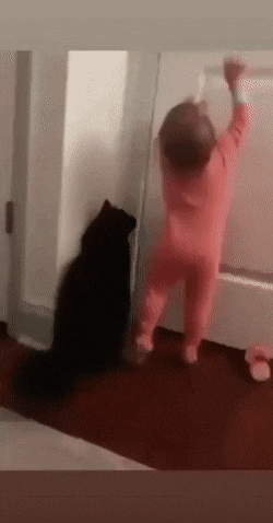 https://upforme.ru/uploads/0019/3c/8c/2/570186.gif