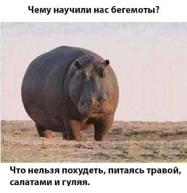 https://upforme.ru/uploads/0019/3c/8c/2/627540.jpg