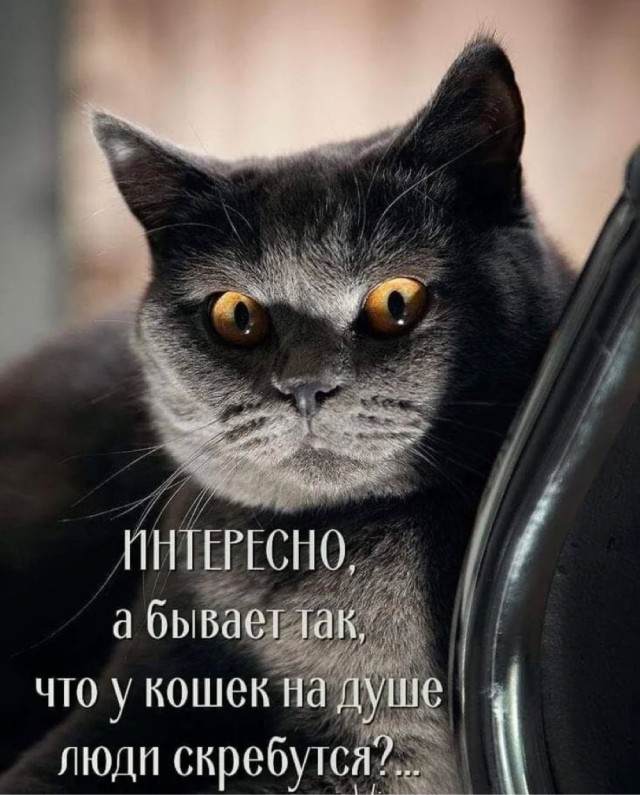 https://upforme.ru/uploads/0019/3c/8c/2/681646.jpg