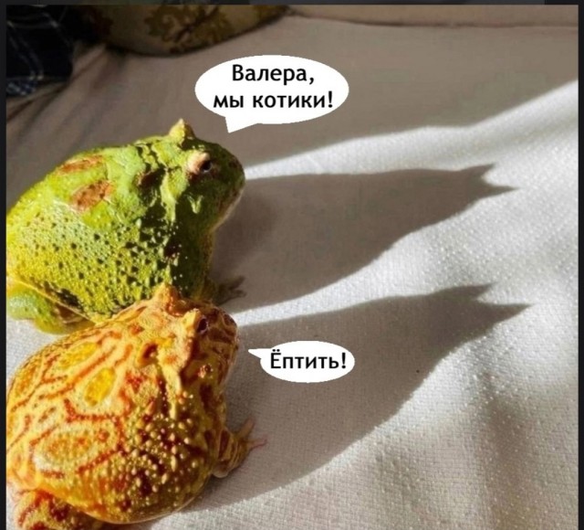 https://upforme.ru/uploads/0019/3c/8c/2/73474.jpg