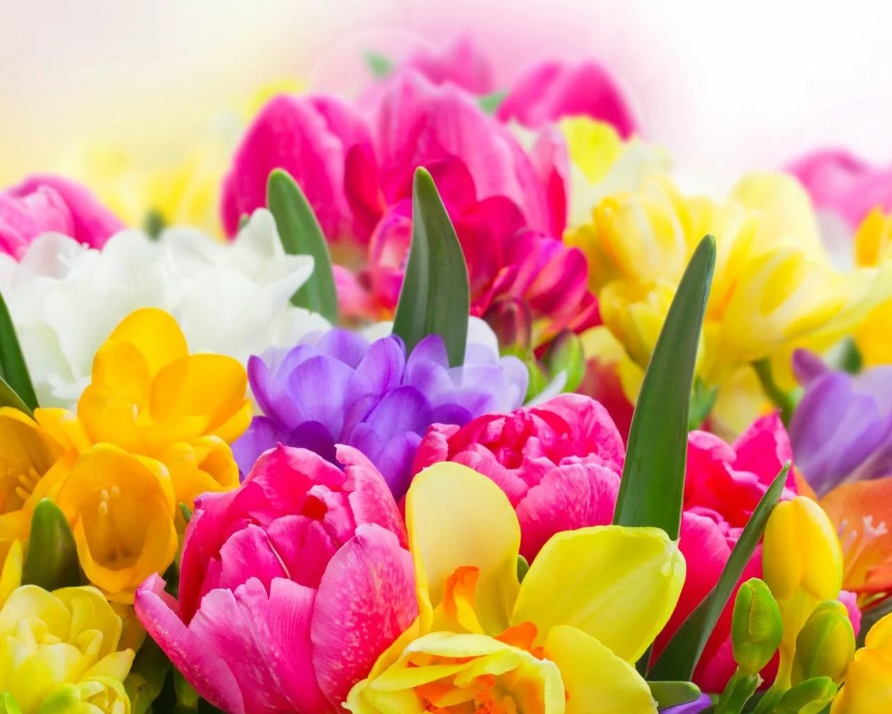 https://upforme.ru/uploads/0019/3c/8c/2/756575.jpg