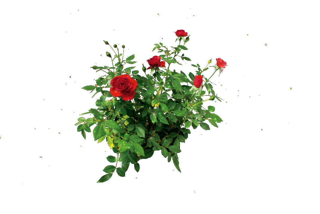 https://upforme.ru/uploads/0019/3c/8c/2/787467.gif