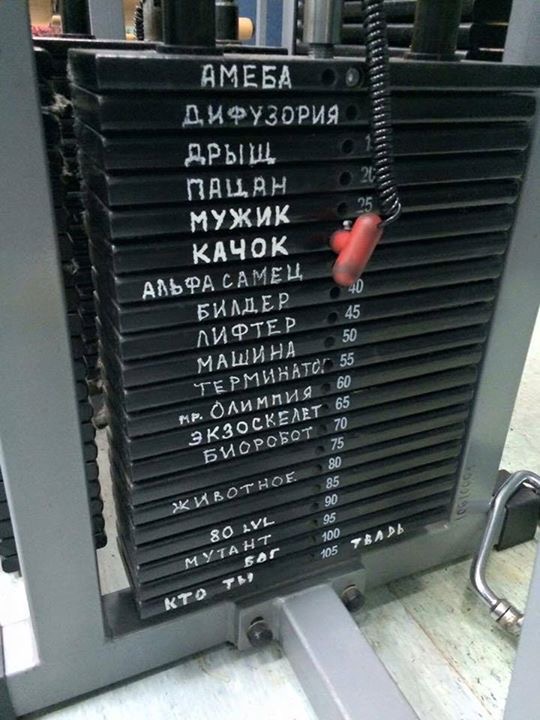 https://upforme.ru/uploads/0019/3c/8c/2/898299.jpg