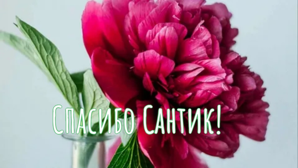 https://upforme.ru/uploads/0019/3c/8c/255/998132.jpg