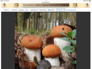 https://upforme.ru/uploads/0019/3c/8c/258/t964453.png
