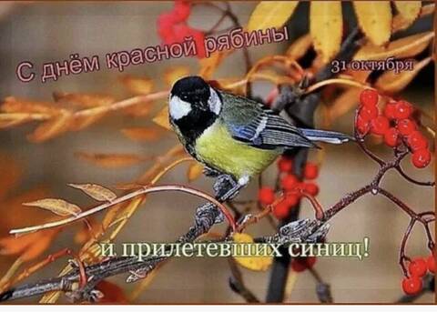 https://upforme.ru/uploads/0019/3c/8c/26/t11980.jpg