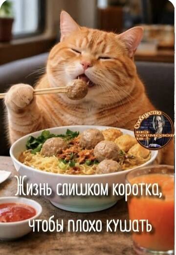 https://upforme.ru/uploads/0019/3c/8c/26/t455025.jpg
