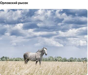 https://upforme.ru/uploads/0019/3c/8c/26/t54427.jpg