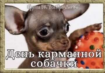 https://upforme.ru/uploads/0019/3c/8c/26/t596221.jpg