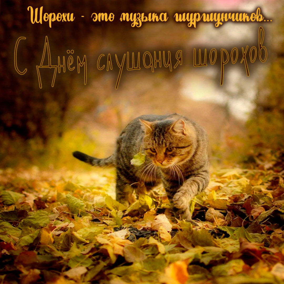 https://upforme.ru/uploads/0019/3c/8c/27/591712.jpg