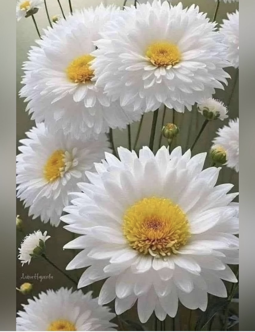 https://upforme.ru/uploads/0019/3c/8c/27/63698.jpg