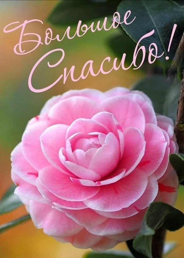https://upforme.ru/uploads/0019/3c/8c/27/77057.webp