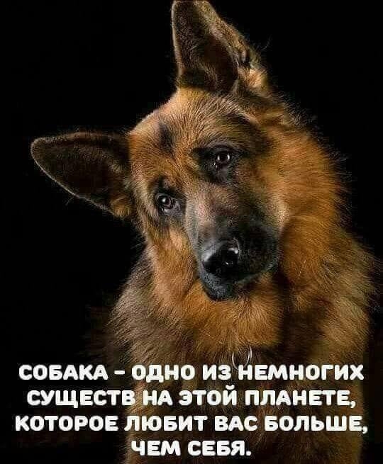 https://upforme.ru/uploads/0019/3c/8c/27/872057.jpg