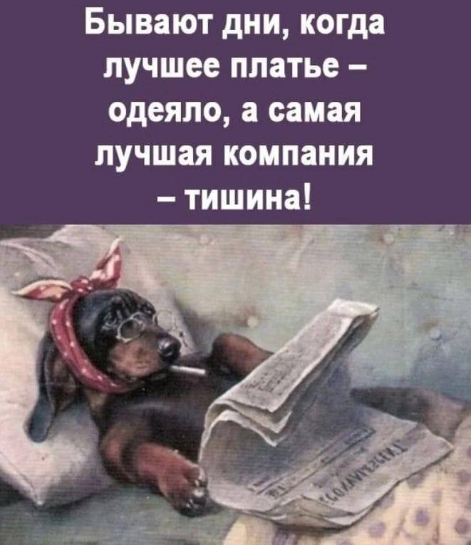 https://upforme.ru/uploads/0019/3c/8c/3/149407.jpg