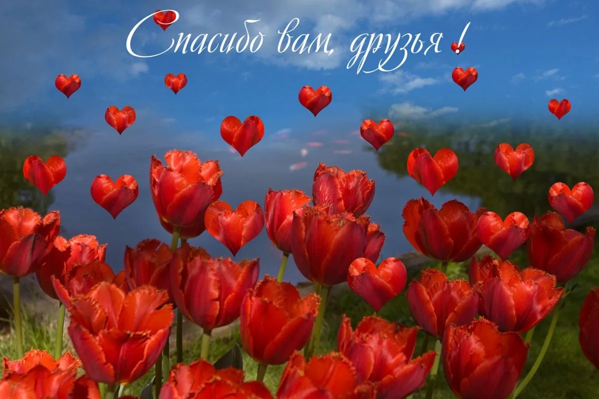 https://upforme.ru/uploads/0019/3c/8c/3/173562.jpg