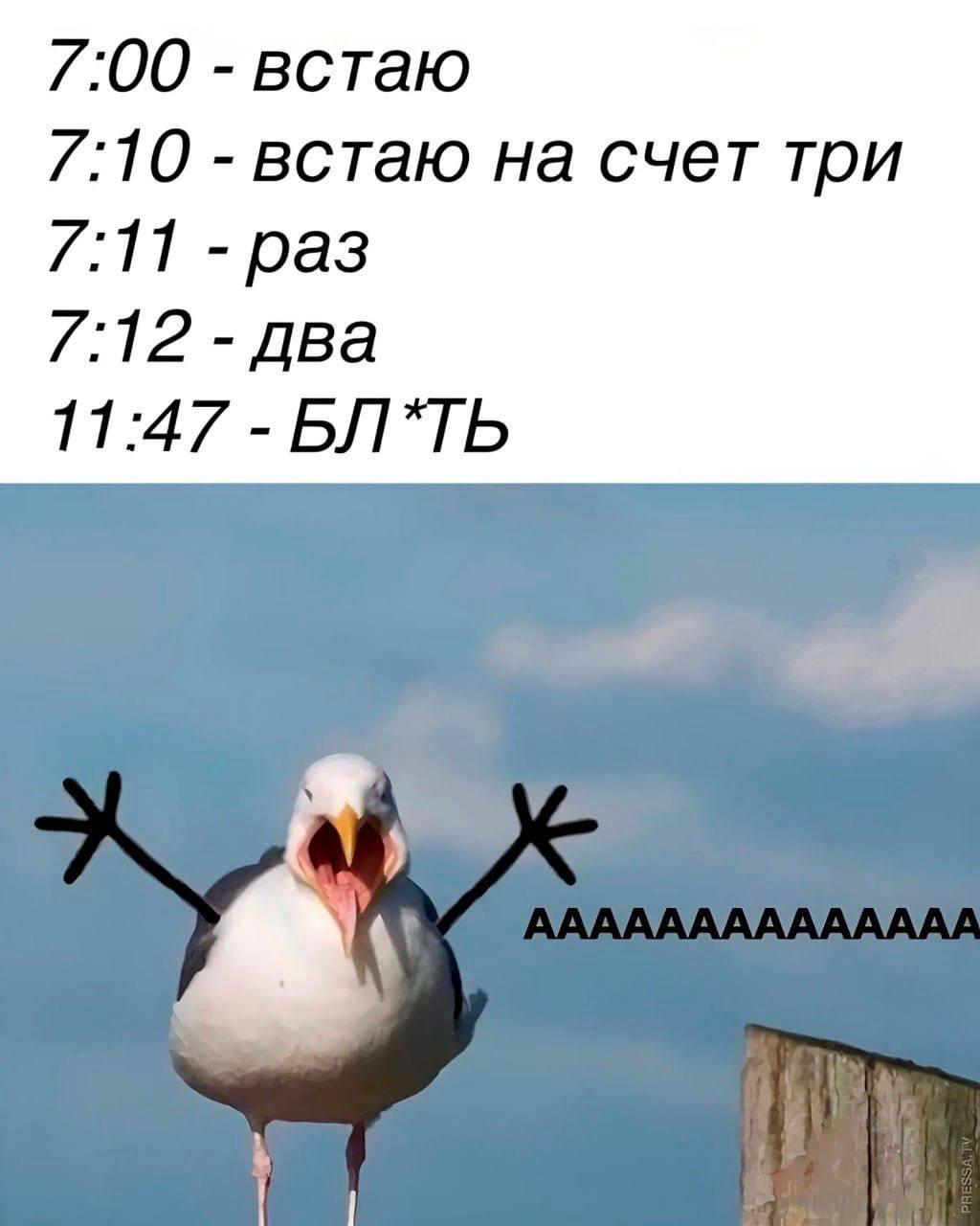 https://upforme.ru/uploads/0019/3c/8c/3/181872.jpg