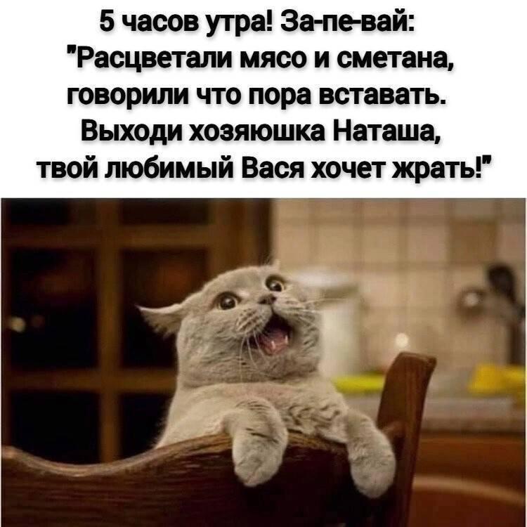 https://upforme.ru/uploads/0019/3c/8c/3/266262.jpg