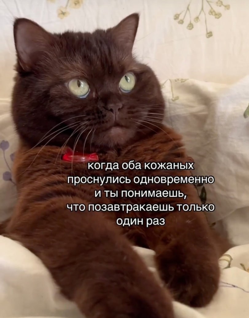 https://upforme.ru/uploads/0019/3c/8c/3/306504.jpg